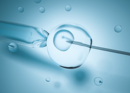 给刚出生婴儿的贺词 给刚出生的婴儿寄语