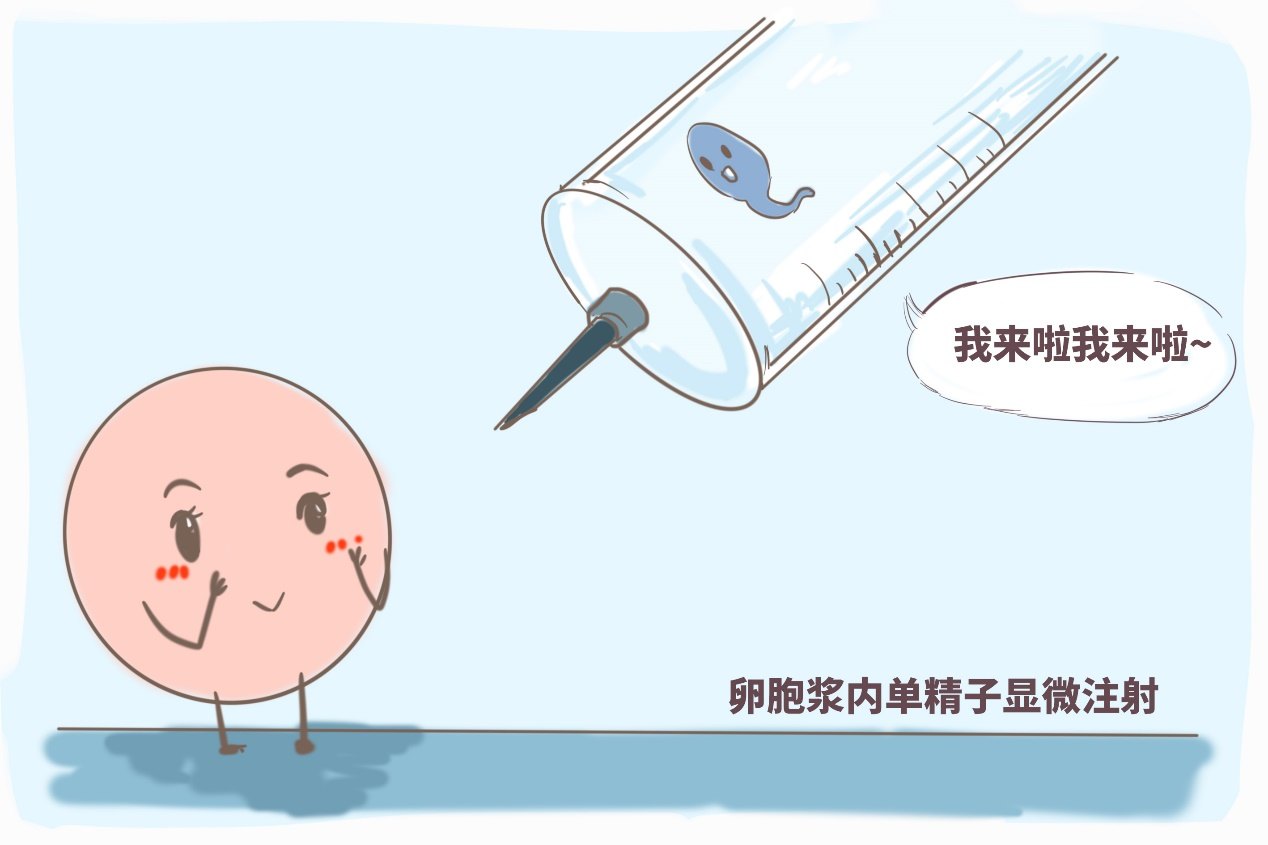 绝对没有怀孕的征兆 肯定没怀孕的症状